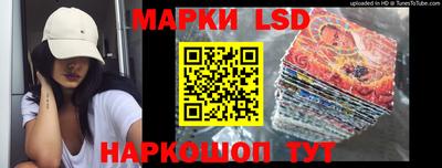 гашик Сланцы