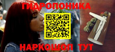 гашик Сланцы