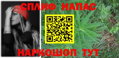 дживик Славгород