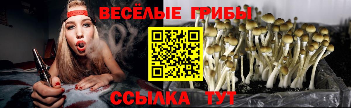 Галлюциногенные грибы мухоморы Петропавловск-Камчатский